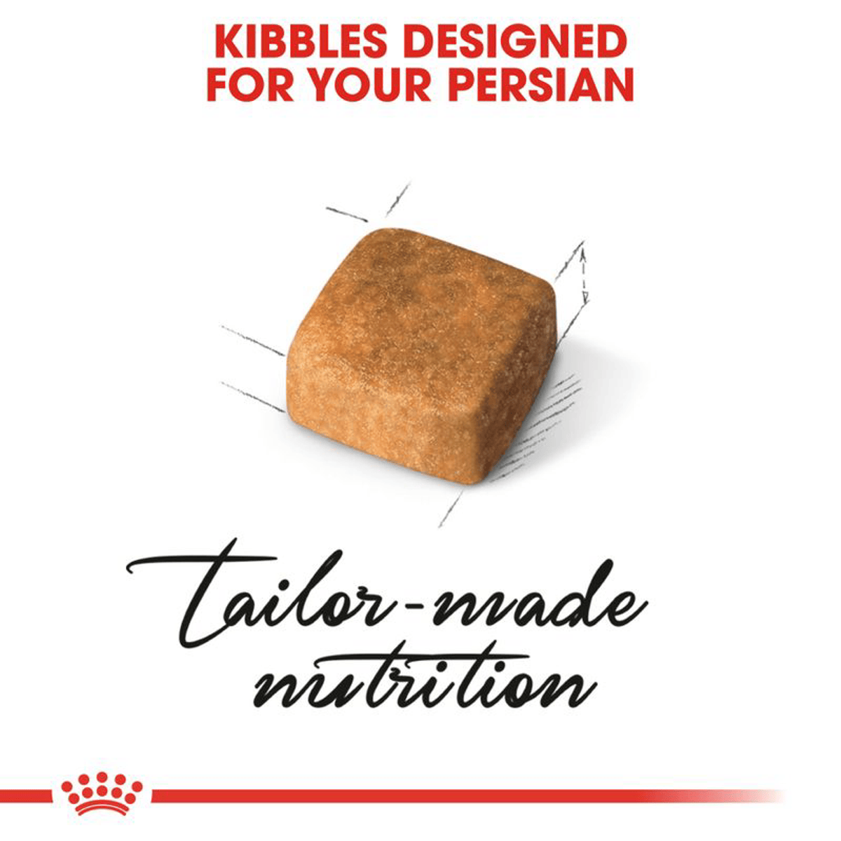 Tiny rectangular kitten kibble