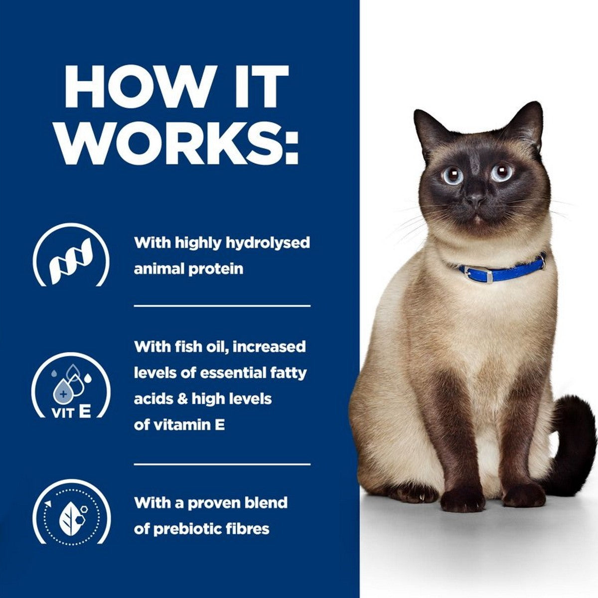 Cat wearing a blue collar with text about pet food ingredients on a blue background