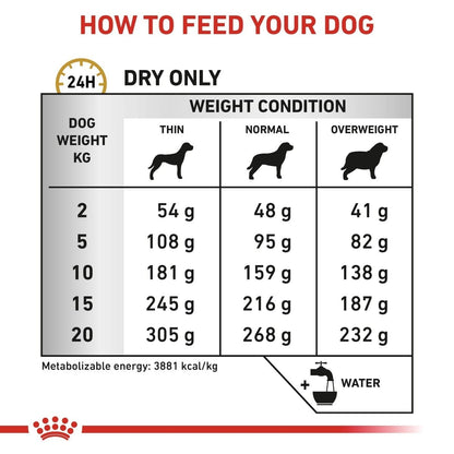 Feeding chart for dogs with weight and condition categories