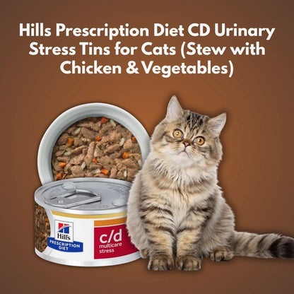 Cat sitting next to Hills Prescription Diet CD Urinary Stress Tins on a brown background
