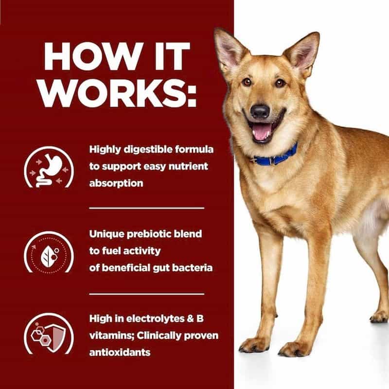 Dog standing next to a red background with text about a highly digestible formula, prebiotic blend, and high electrolytes and B vitamins.