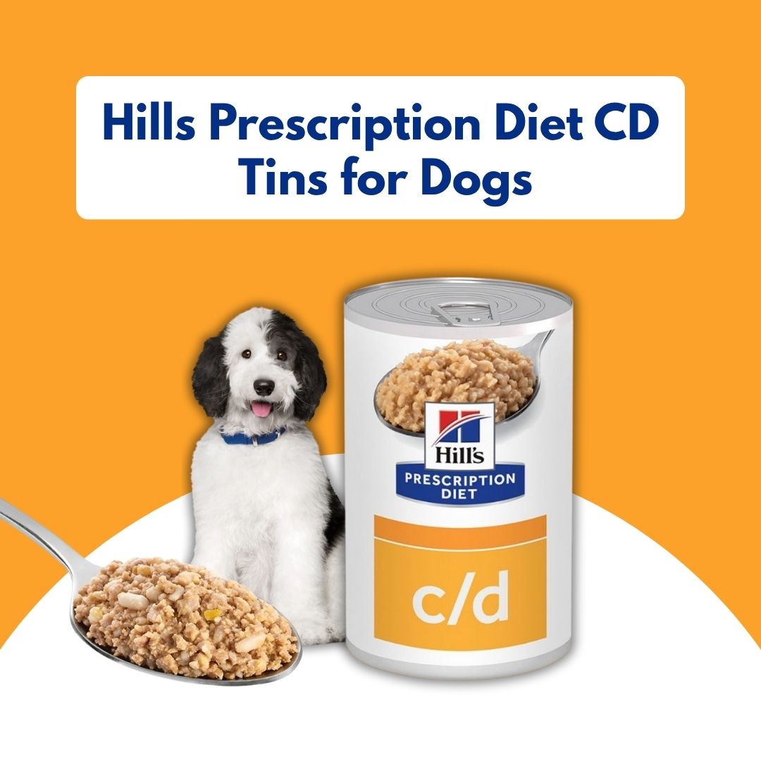 Hills Prescription Diet CD can for dogs with a dog and food on an orange background