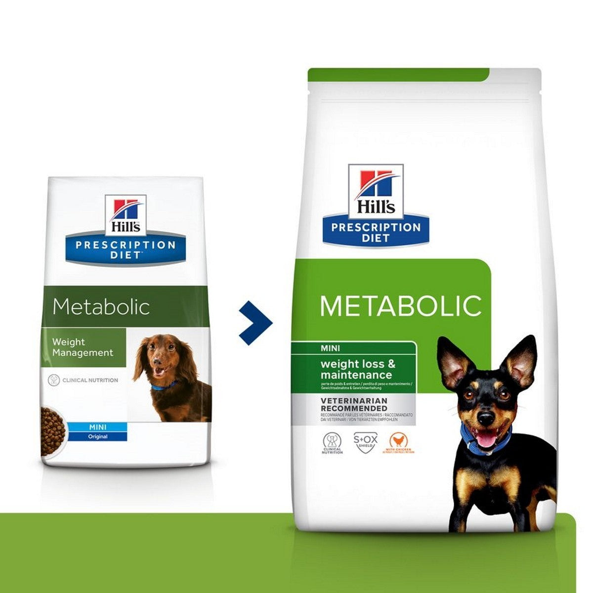 Small dog diet kibble
