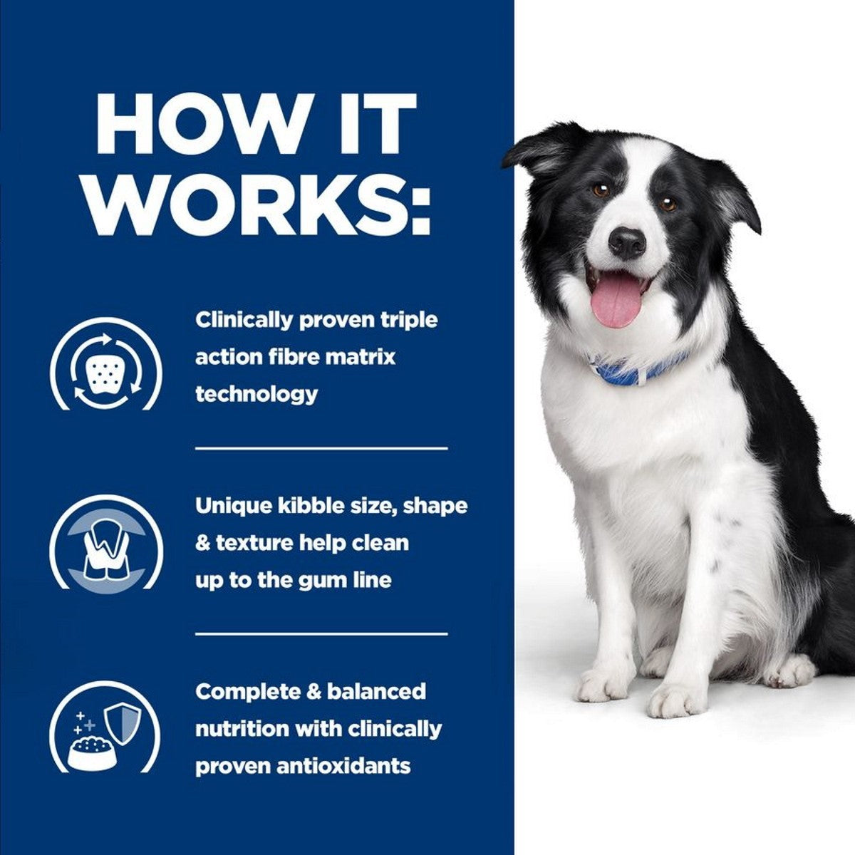 Oral care dry food