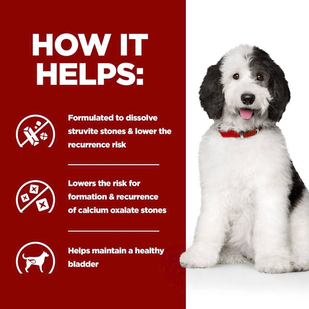 Dog with a red background and text about pet health benefits