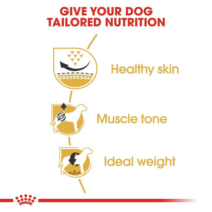 Diagram showing benefits of tailored dog nutrition with icons and text on a white background.