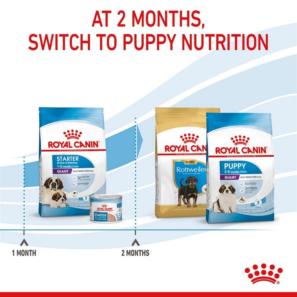Royal Canin dog food products with text indicating switching to puppy nutrition at 2 months.