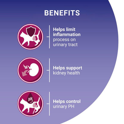 Cat health support formula