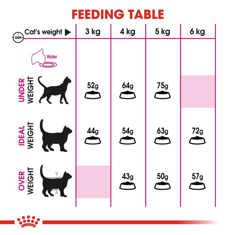 Aromatic dry cat food
