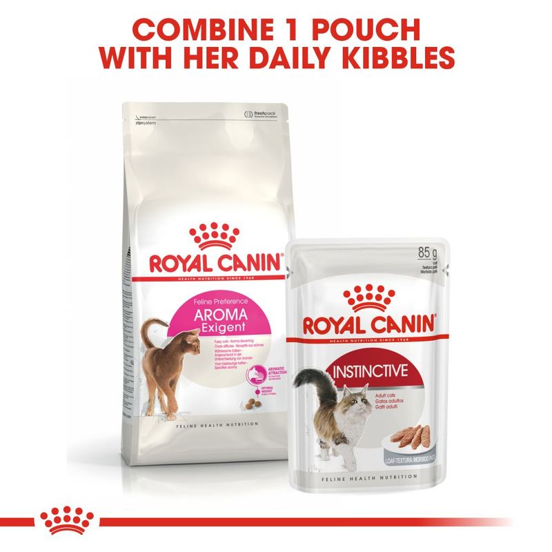 Aroma Exigent dry food