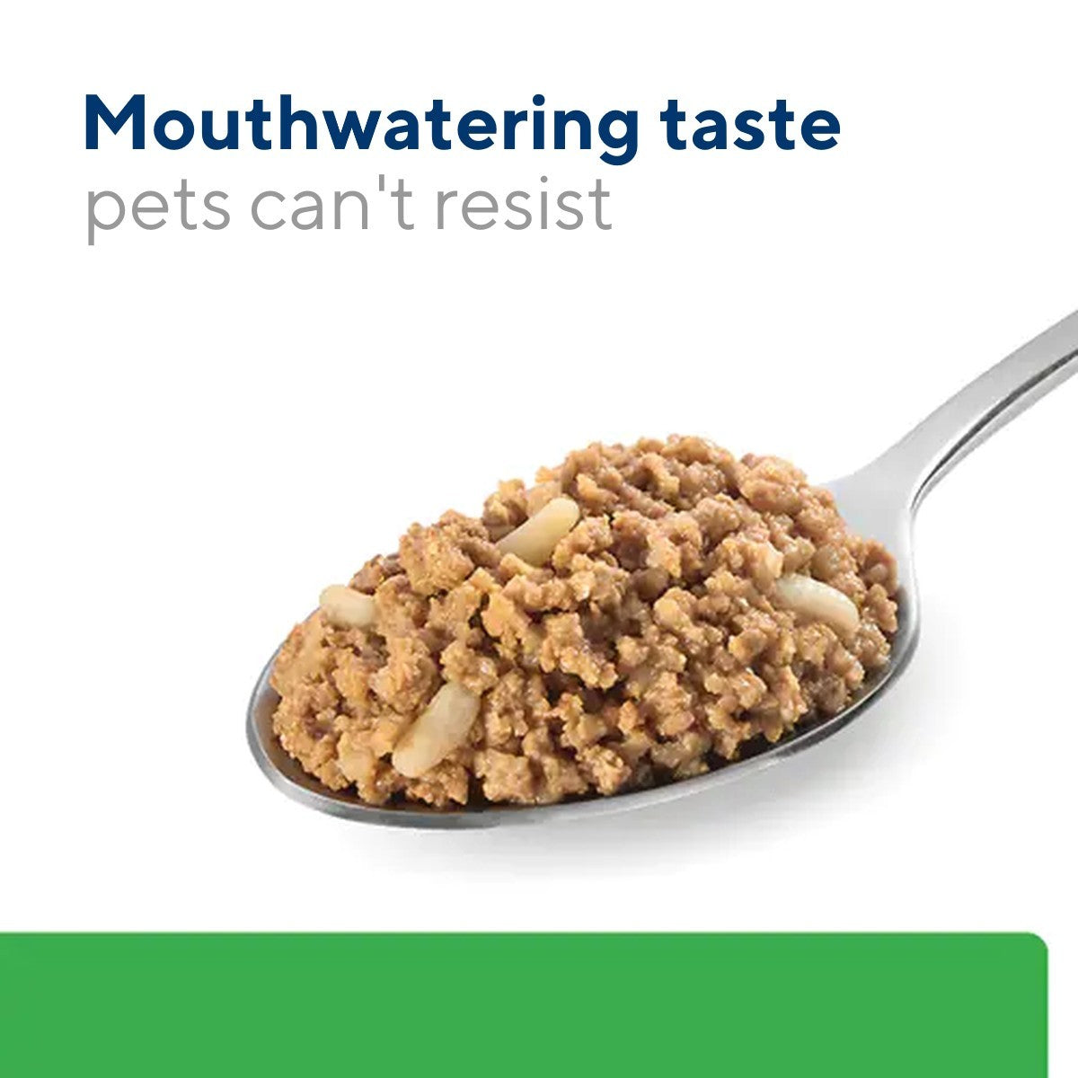 Wet food for dogs