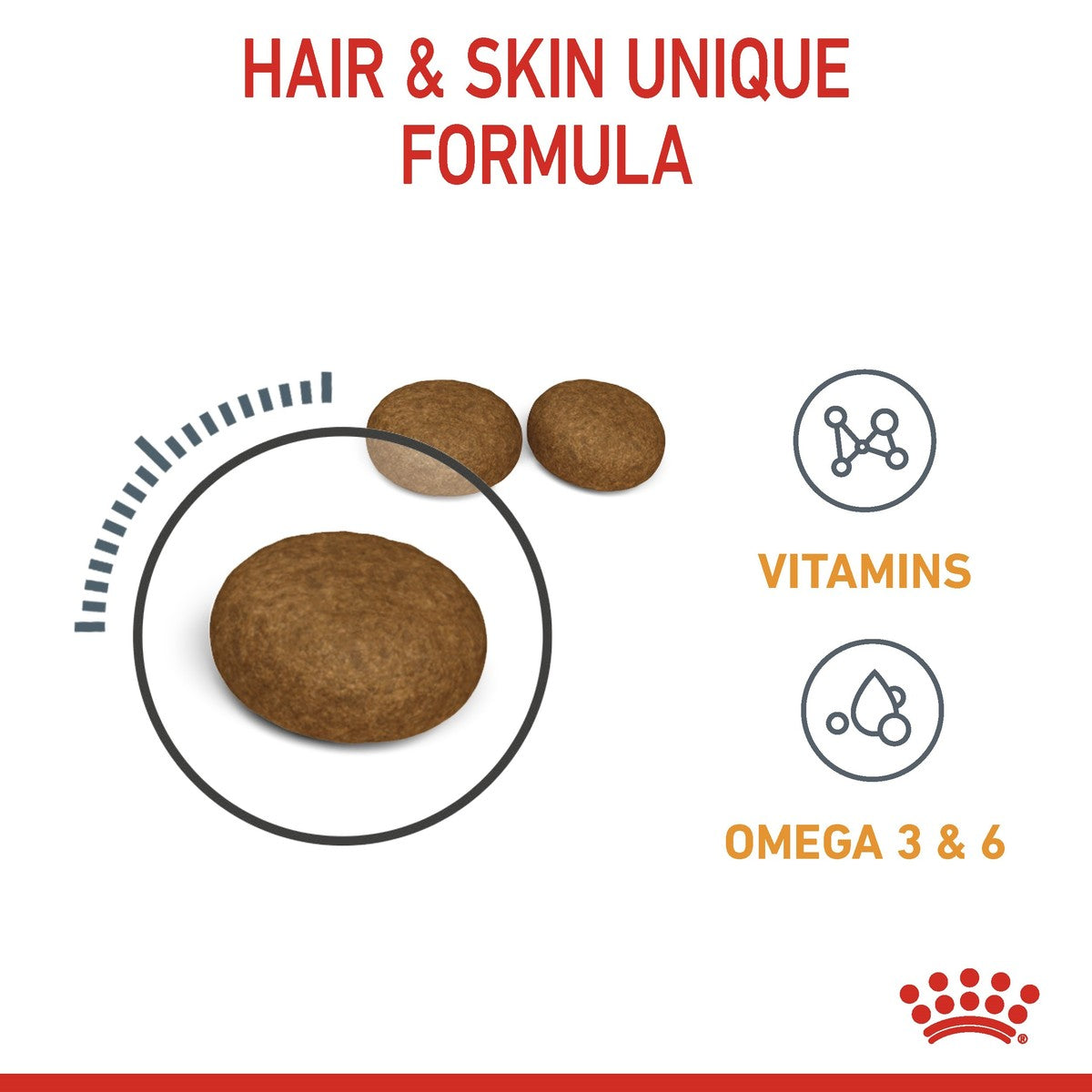 Dog treats with vitamins, omega 3 & 6 text on a white background