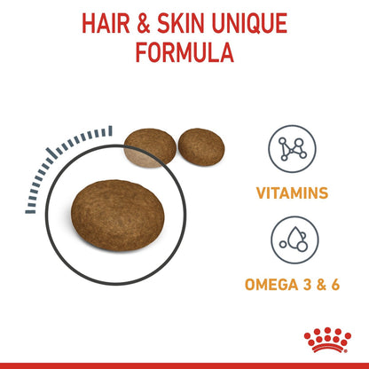 Dog treats with vitamins, omega 3 & 6 text on a white background