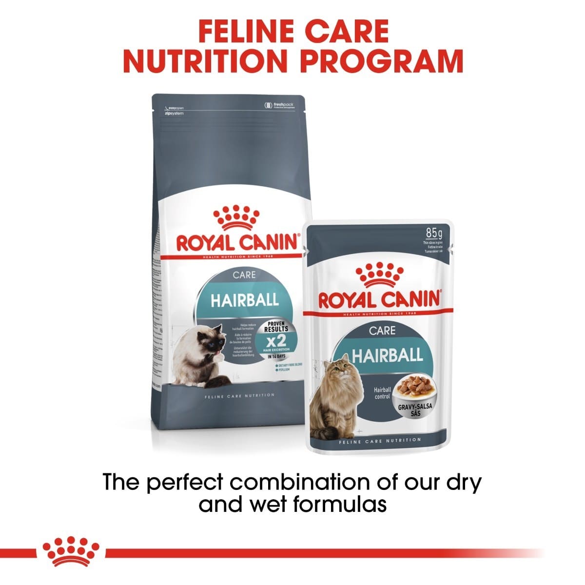 Two packages of Royal Canin Hairball Care cat food on a white background with text about the Feline Care Nutrition Program.