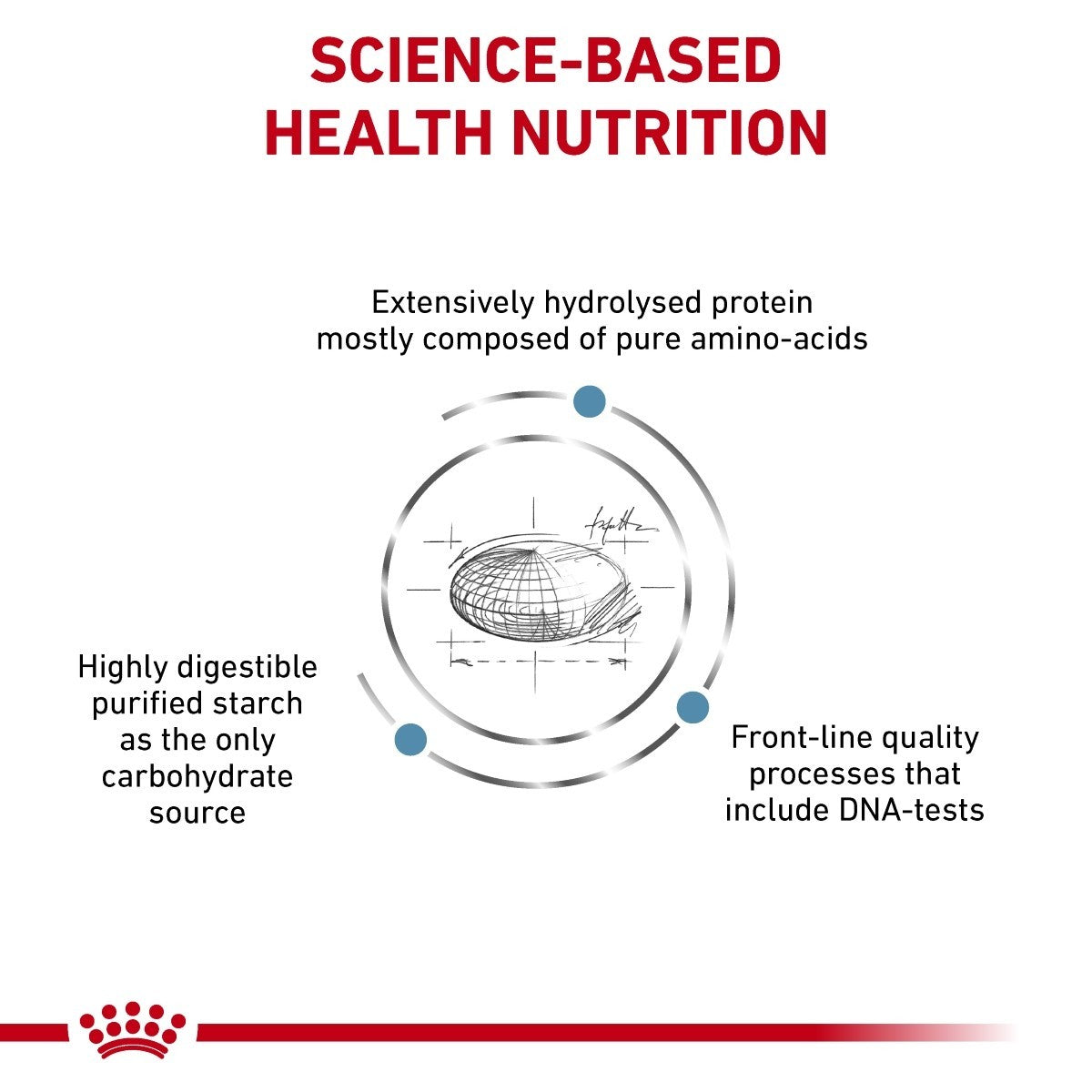 Diagram of science-based health nutrition with protein and starch components, featuring a red banner at the bottom.