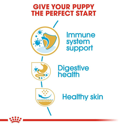 Advertisement for a pet product with icons and text about immune system support, digestive health, and healthy skin.