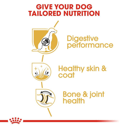 Dog food brand advertisement highlighting tailored nutrition for dogs with icons and text on a white background.