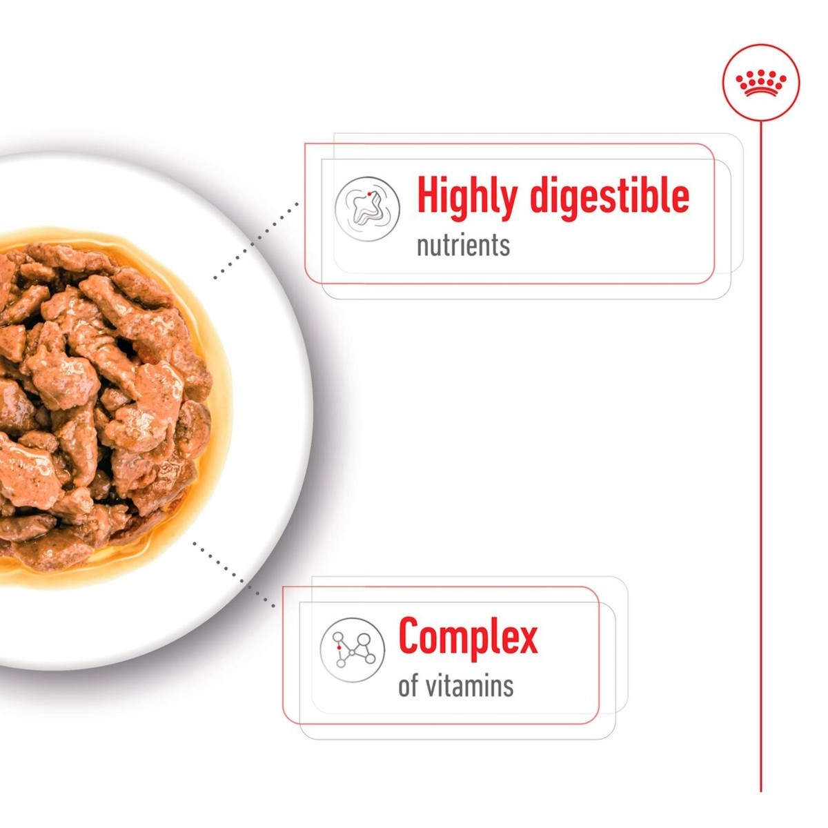 Dog food bowl with text highlighting 'Highly digestible nutrients' and 'Complex of vitamins' on a white background.