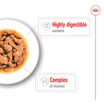 Dog food bowl with text highlighting 'Highly digestible nutrients' and 'Complex of vitamins' on a white background.