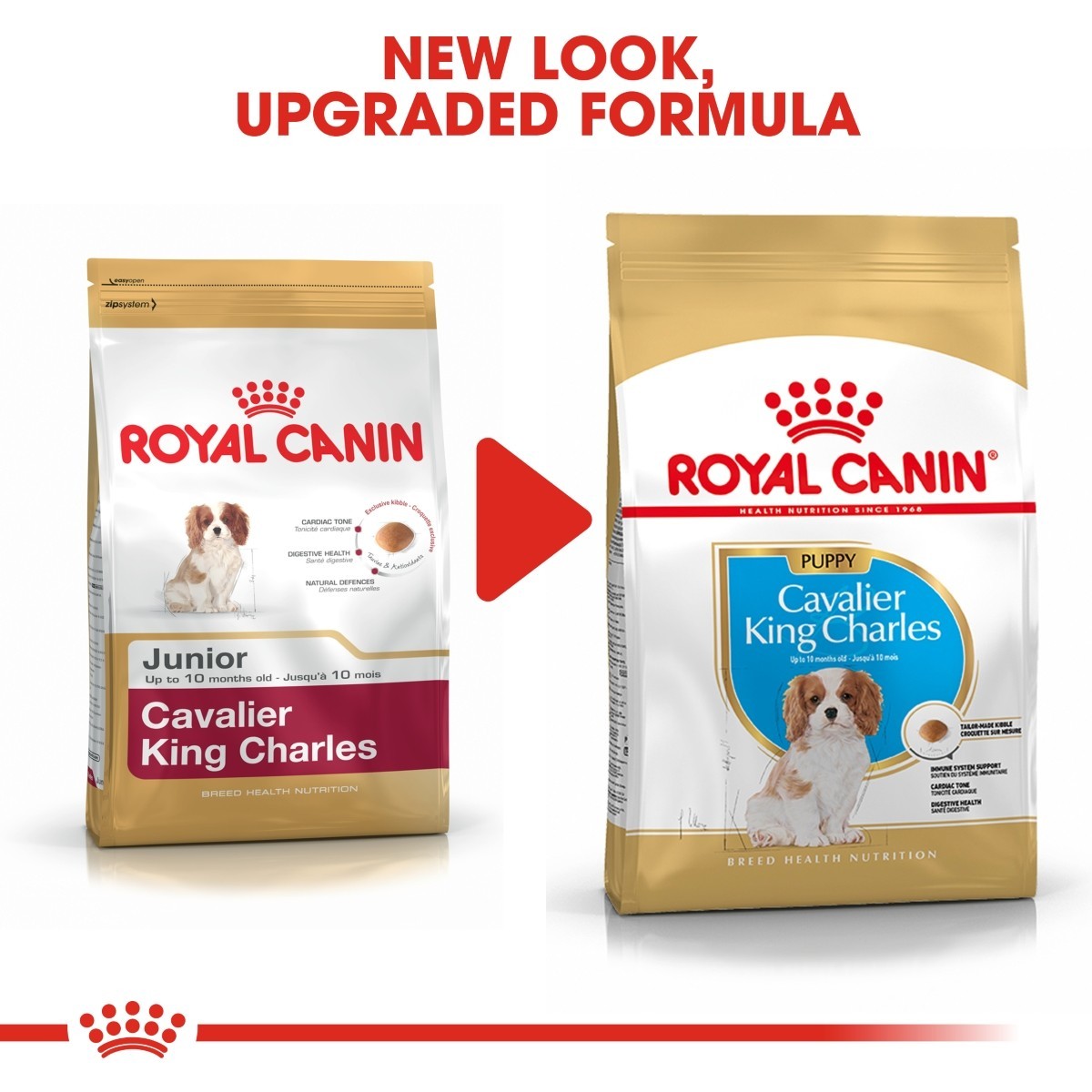 Two packages of Royal Canin Cavalier King Charles dog food with a red arrow between them indicating a new look and upgraded formula.