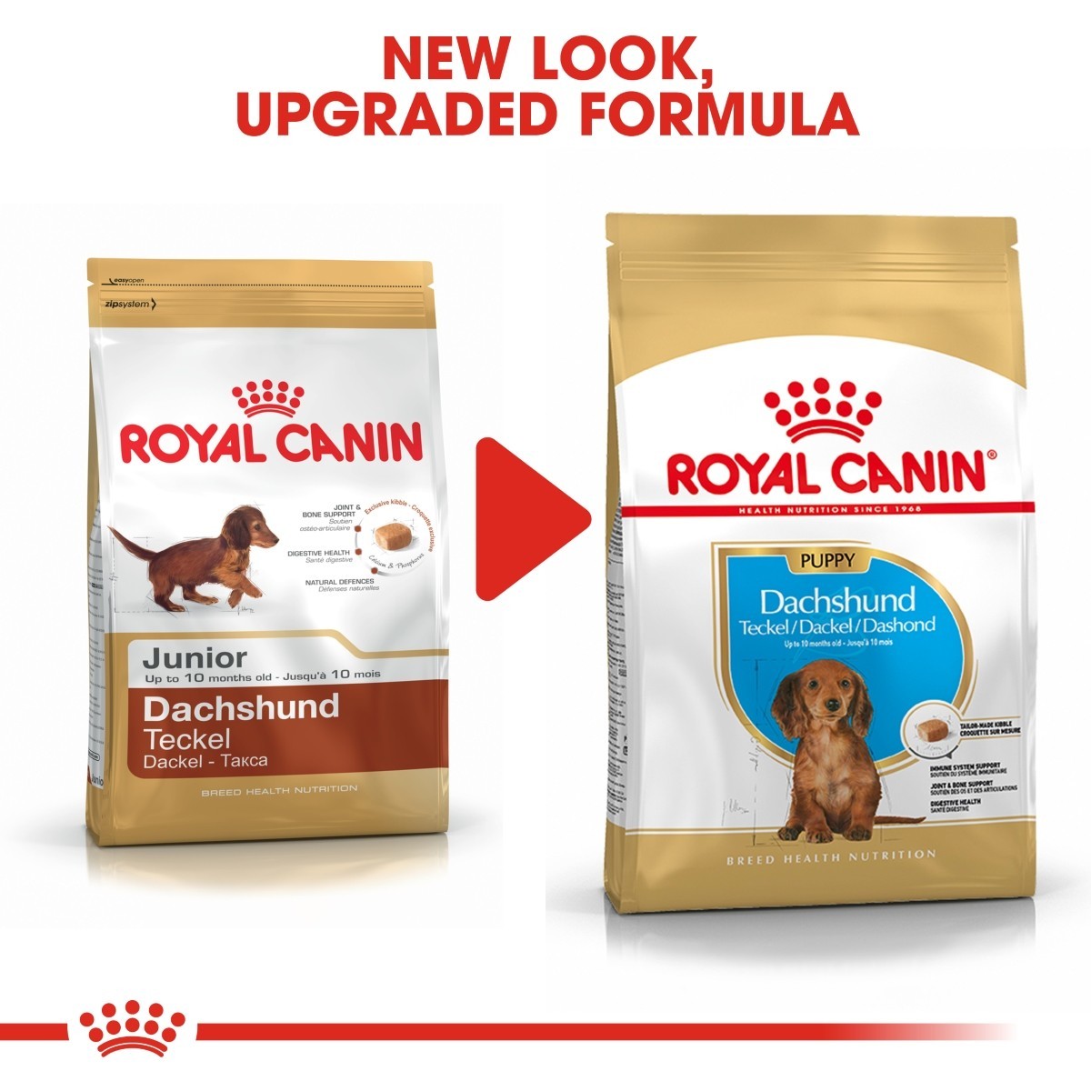 Two packages of Royal Canin Dachshund dog food with text indicating a new look and upgraded formula.