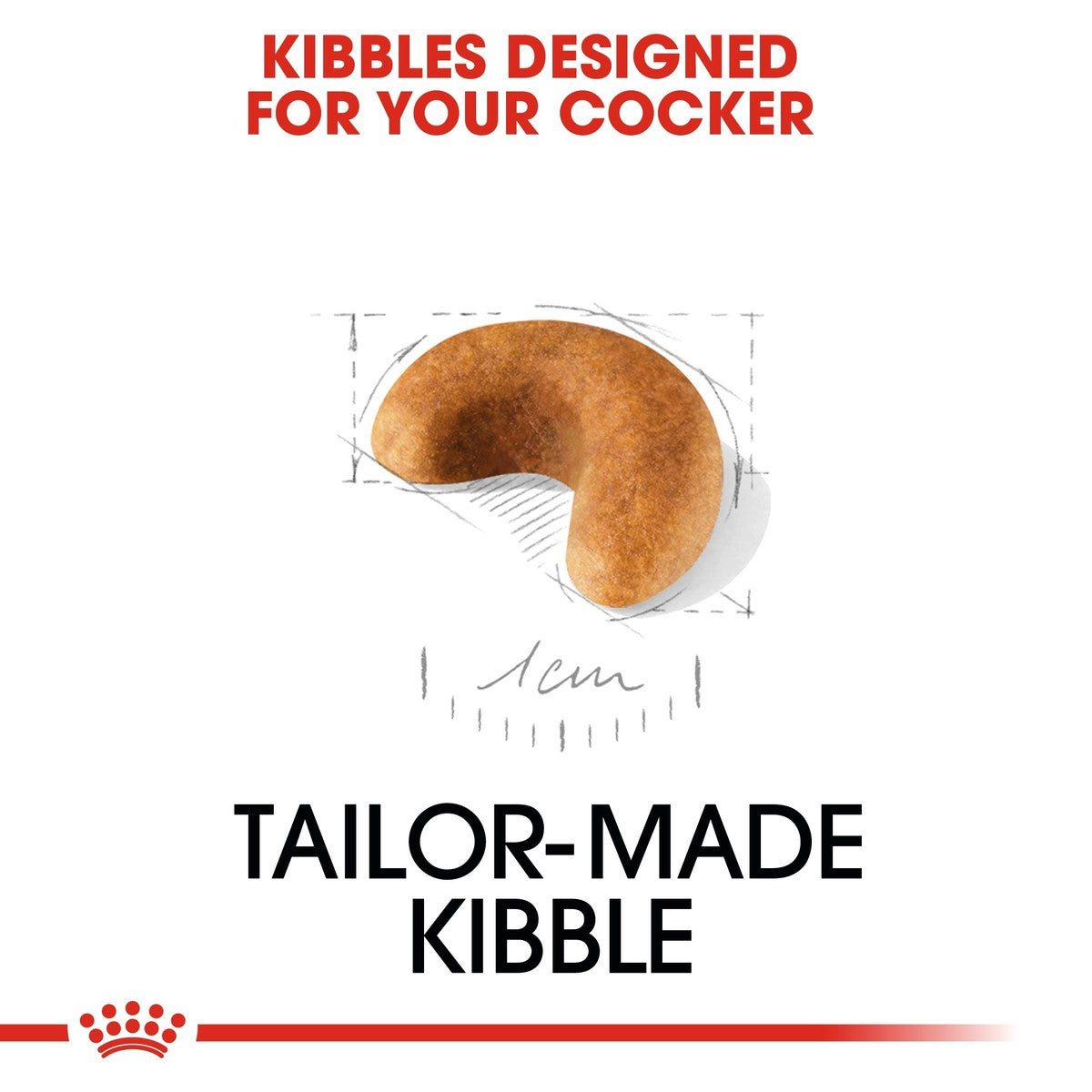 Tailor-made kibble for a cocker with measurements on a white background