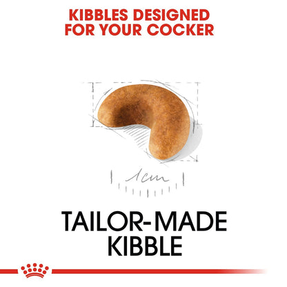 Tailor-made kibble for a cocker with measurements on a white background