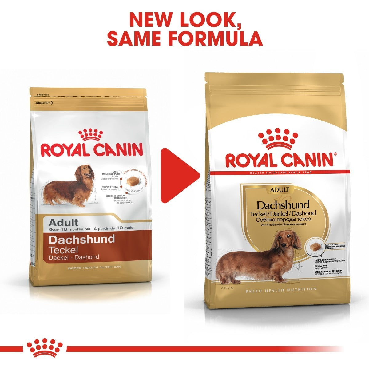 Two packages of Royal Canin Dachshund dog food with a red arrow between them indicating 'New Look, Same Formula'.