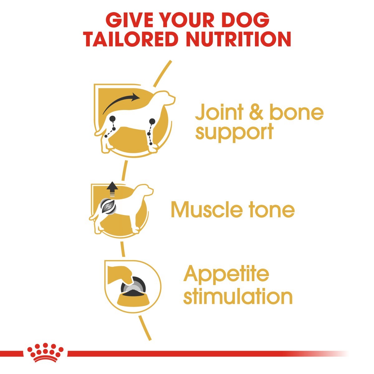Diagram of a dog with text on joint and bone support, muscle tone, and appetite stimulation on a white background.