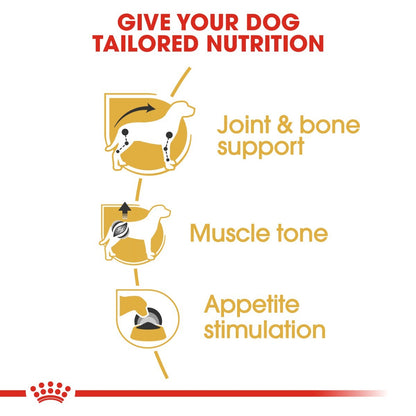 Diagram of a dog with text on joint and bone support, muscle tone, and appetite stimulation on a white background.