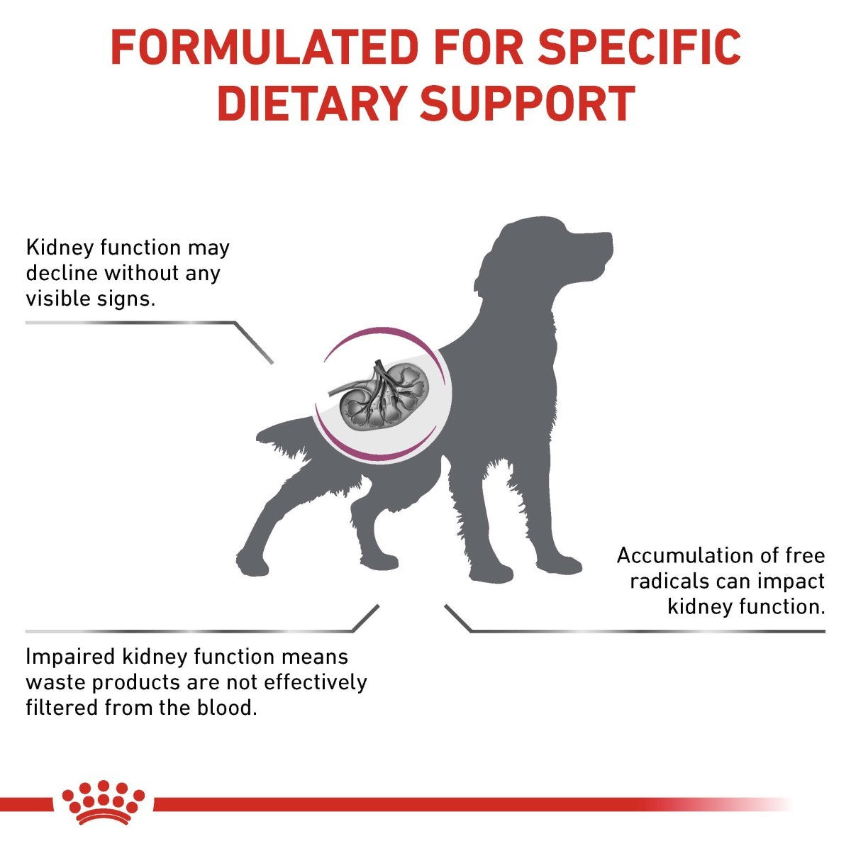 Dog with a肾脏 (kidney) icon and text about dietary support for kidney function.
