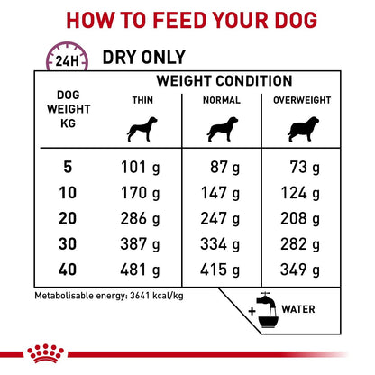 Dog food feeding chart for different weight conditions and dog weights.