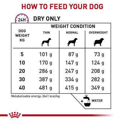 Dog food feeding chart for different weight conditions and dog weights.