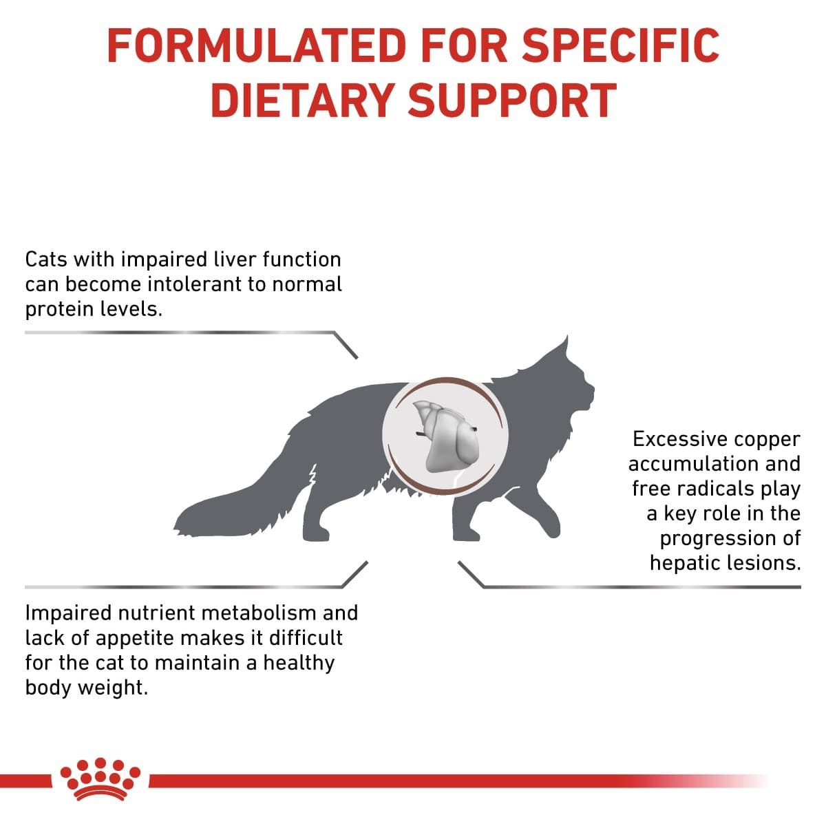 Text about dietary support for cats with impaired liver function, featuring a cat silhouette and Royal Canin logo.