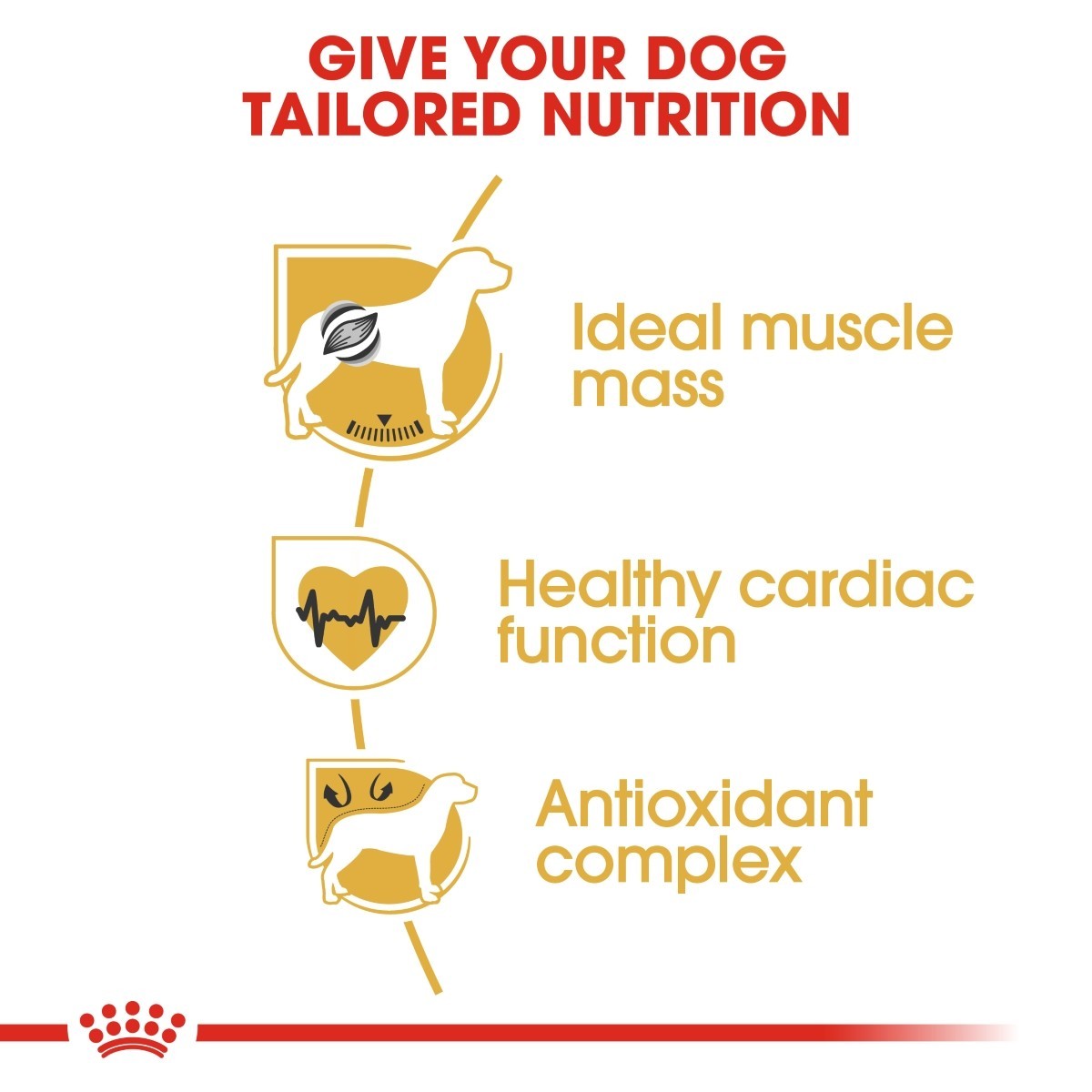 Dog food product with text on tailored nutrition for dogs, including muscle mass, cardiac function, and antioxidant complex.