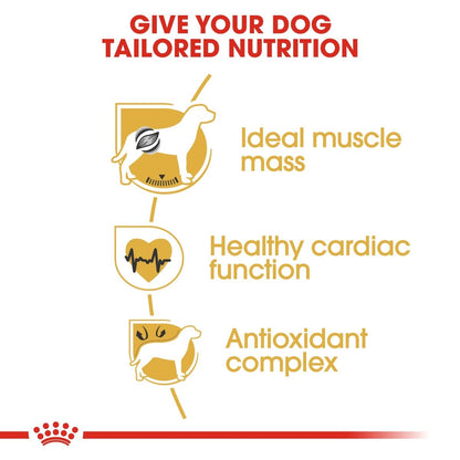 Dog food product with text on tailored nutrition for dogs, including muscle mass, cardiac function, and antioxidant complex.