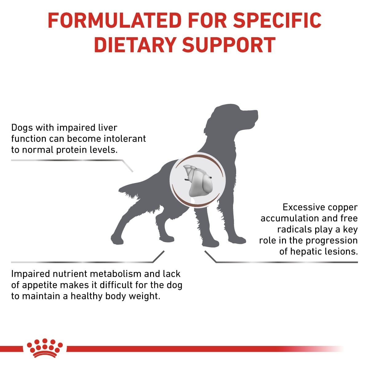 Dog with a liver icon and text about dietary support for dogs with impaired liver function.