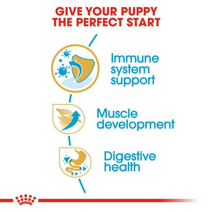 Advertisement for pet food with icons and text about immune system support, muscle development, and digestive health.