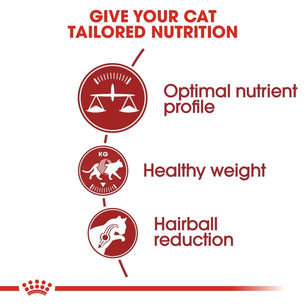 Diagram of cat nutrition benefits with icons and text on a white background