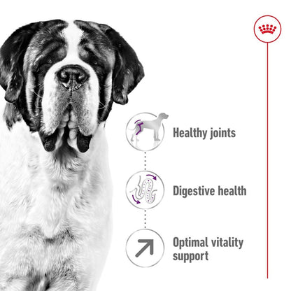 Black and white dog with health benefits listed on a white background