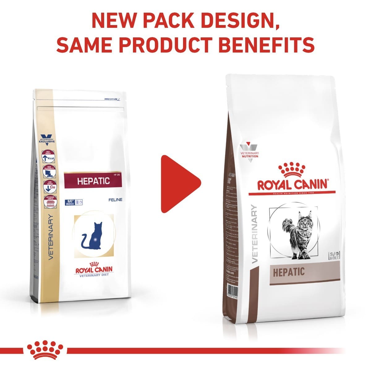 Royal Canin hepatic cat food