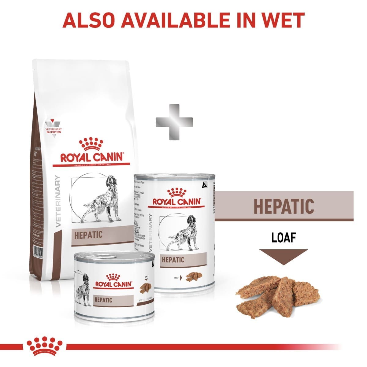 Royal Canin Hepatic pet food products on a white background