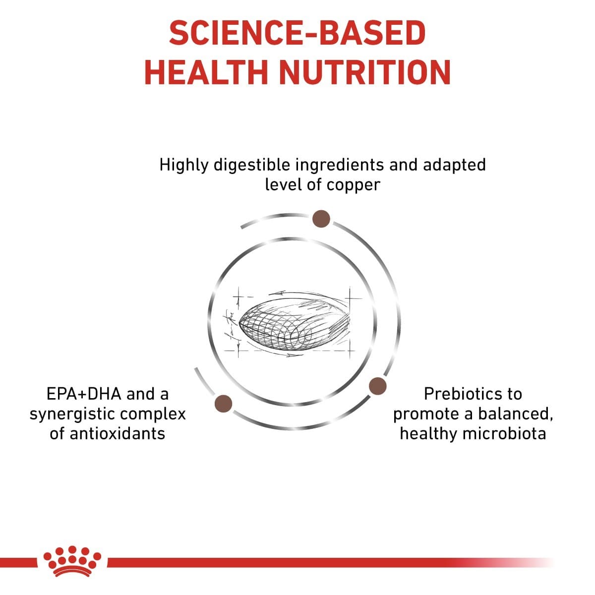 Diagram of science-based health nutrition with text and a diagram of a fish on a white background.