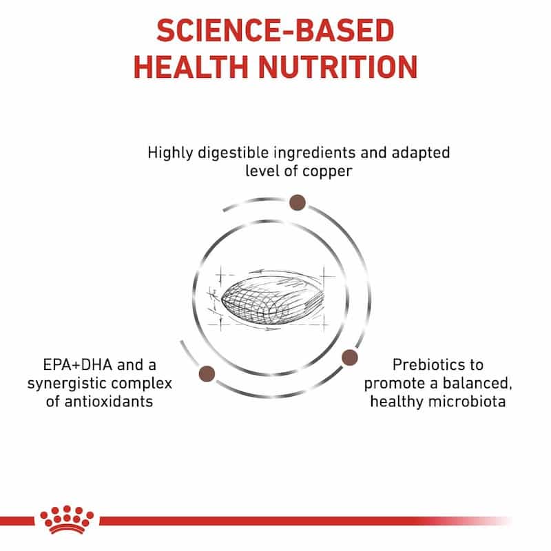 Royal Canin Hepatic Dry Food for Dogs