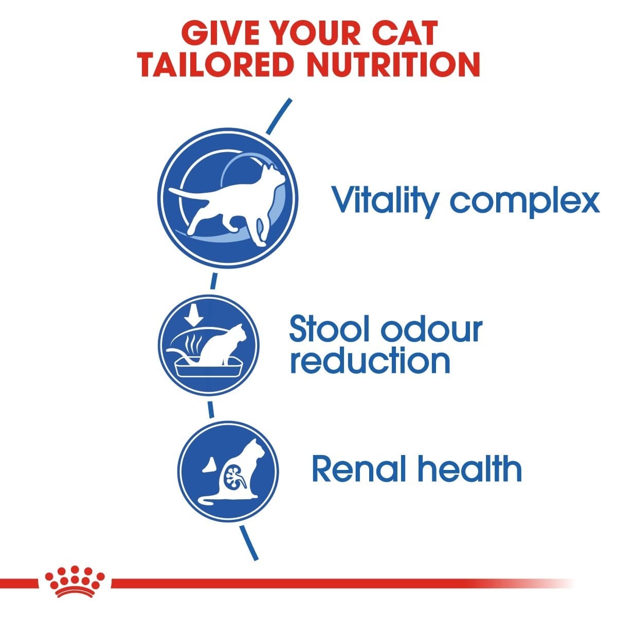 Diagram of cat nutrition benefits with icons and text on a white background