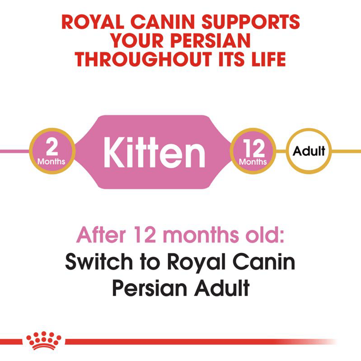 Healthy growth kitten nutrition