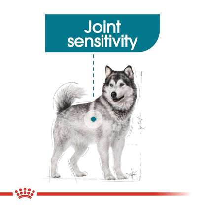 Dog with a focus on joint sensitivity and a brand logo at the bottom.