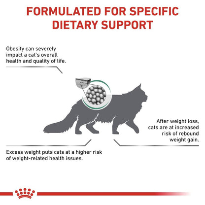 Cat dietary support product with text about obesity and weight management.