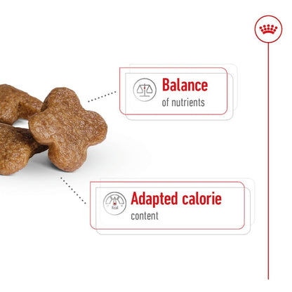 Dog treats with text on balance of nutrients and adapted calorie content on a white background