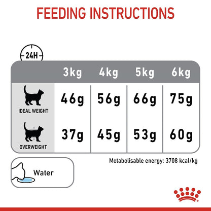 Feeding instructions for a pet, showing weight ranges and corresponding feed amounts.